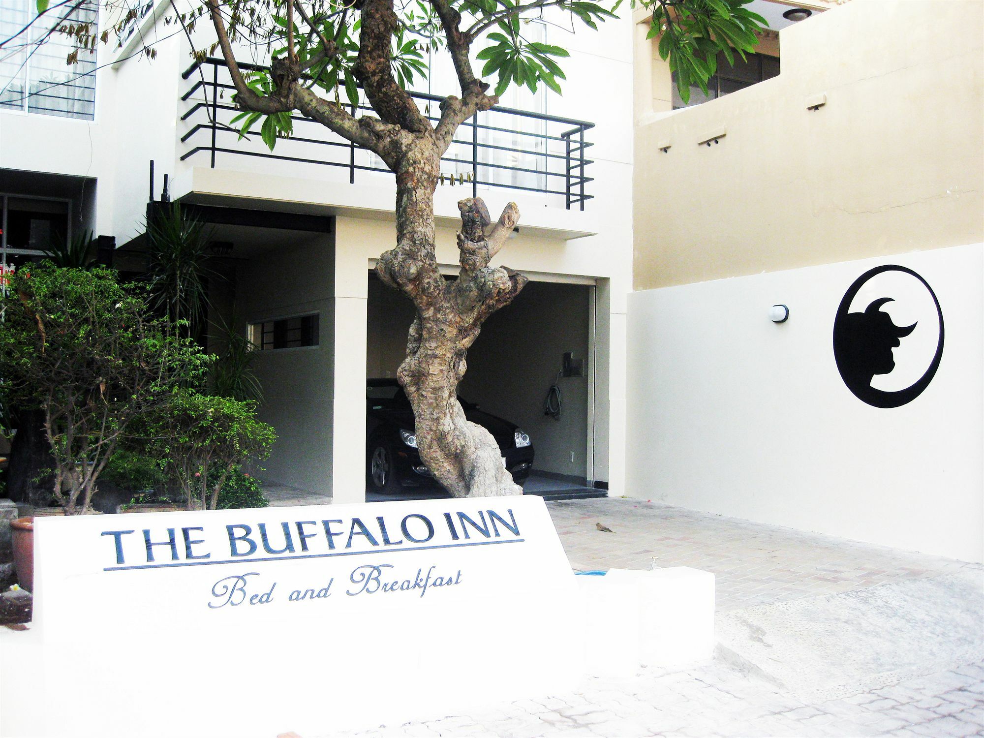 Buffalo Inn Vung Tau Exterior photo